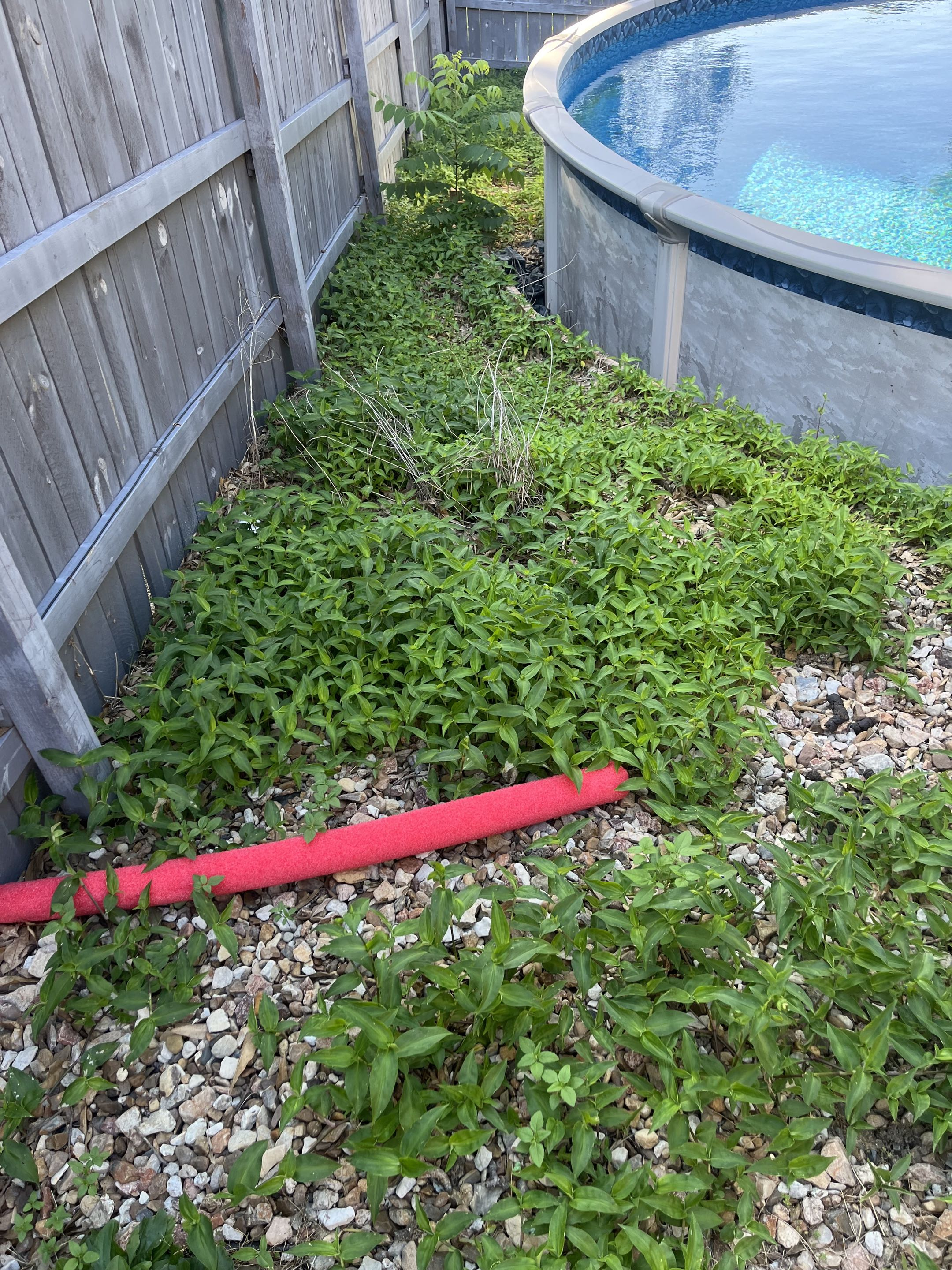 Before cleanup, photo 1