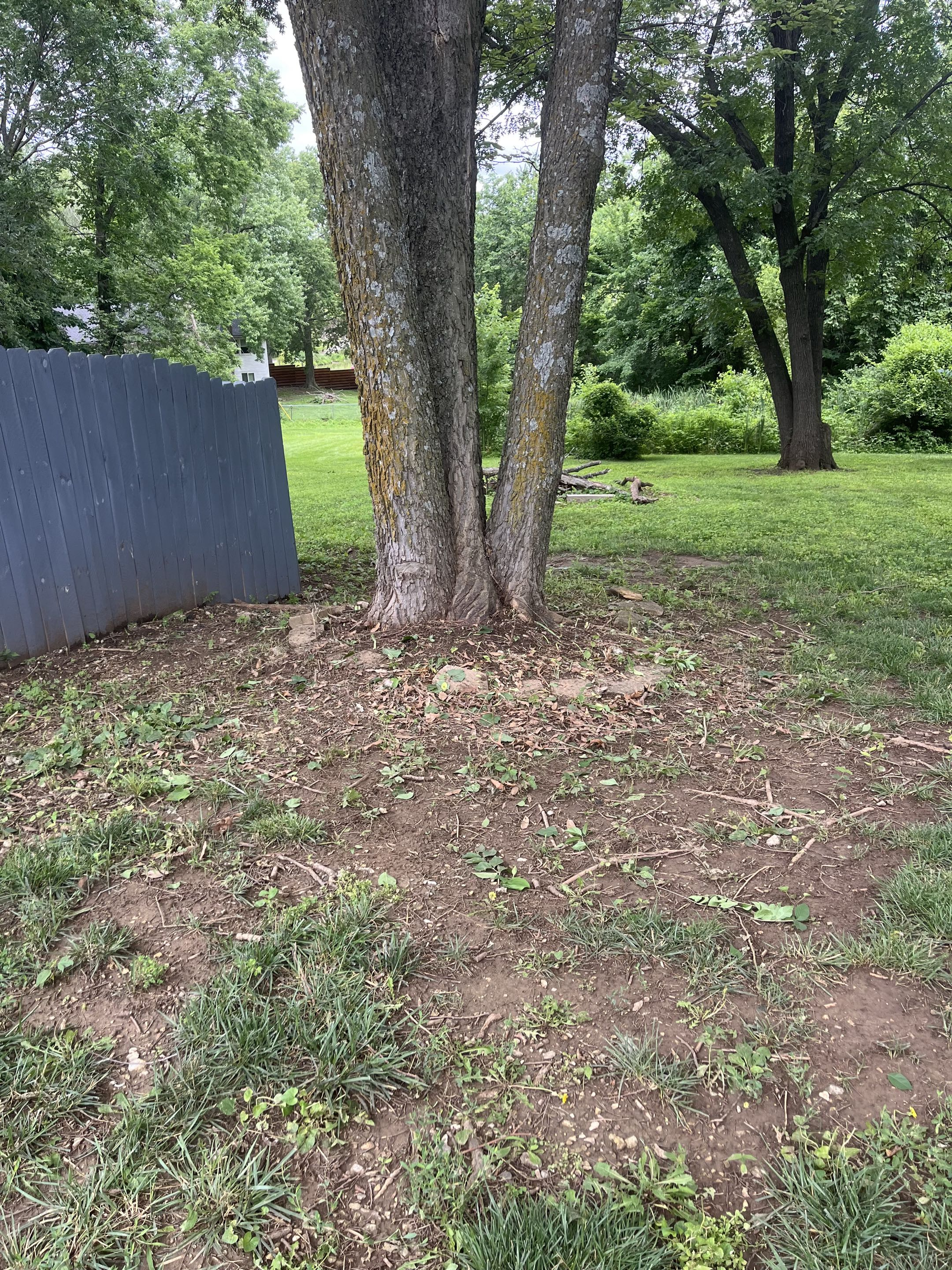 After cleanup, photo 4