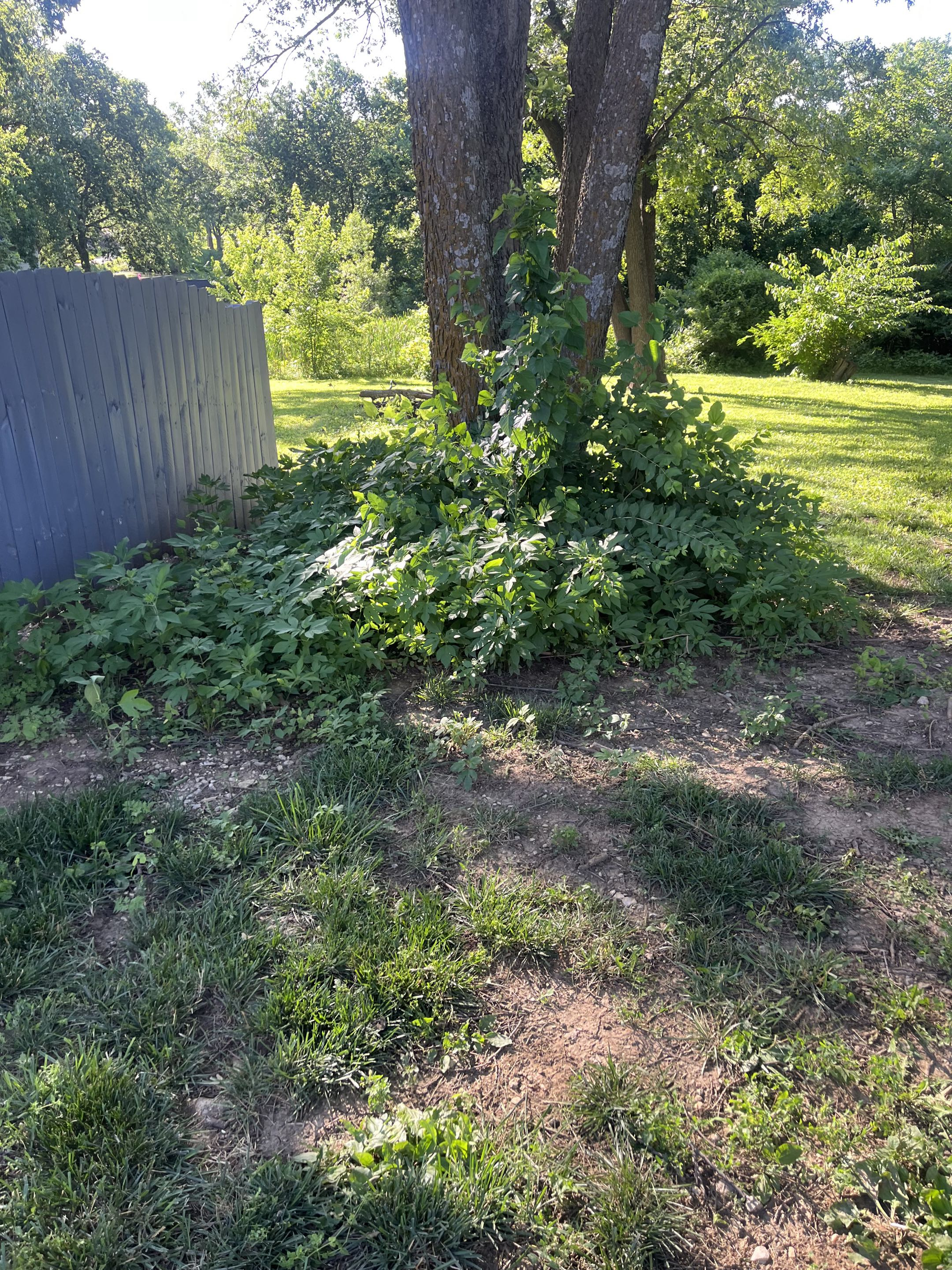 Before cleanup, photo 3