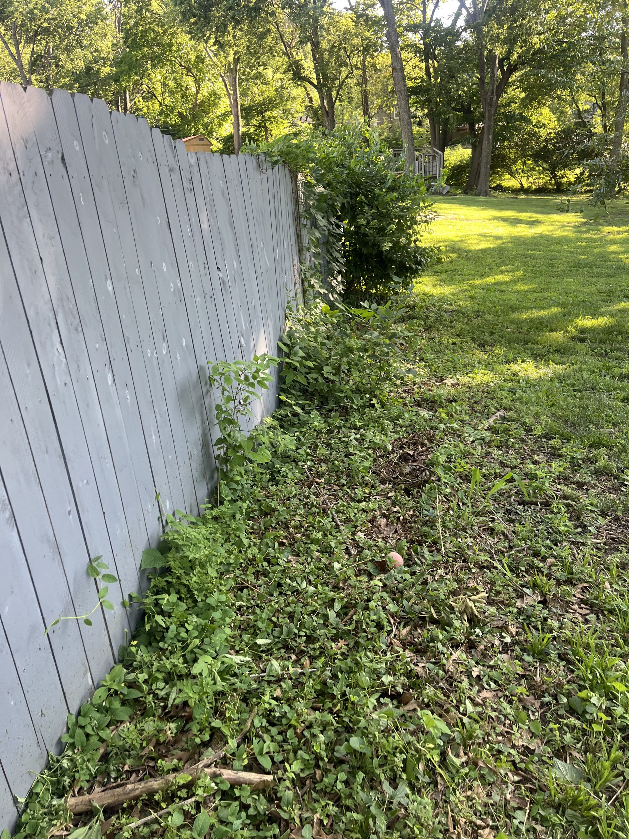 Before cleanup, photo 5