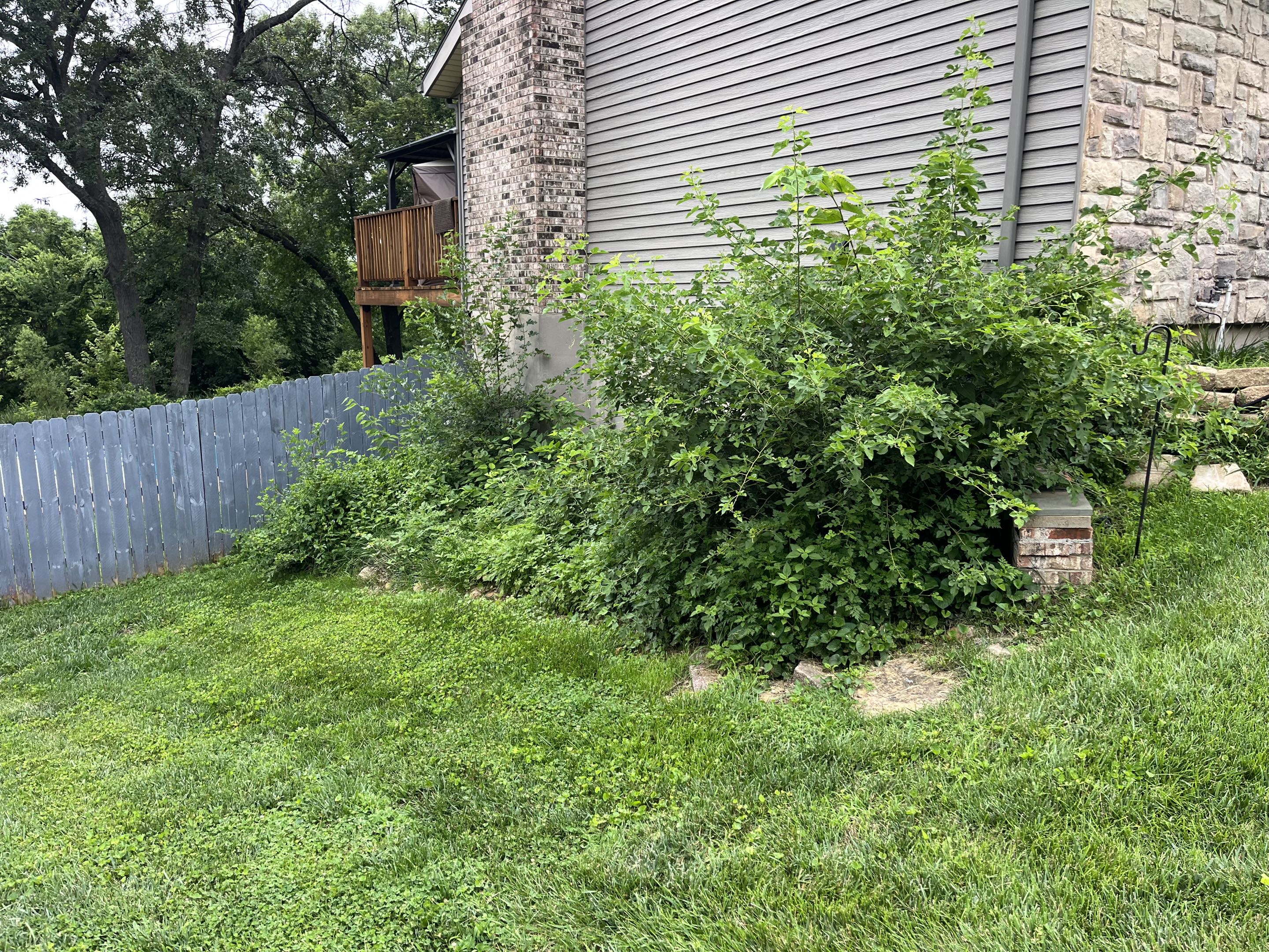 Before cleanup, photo 7
