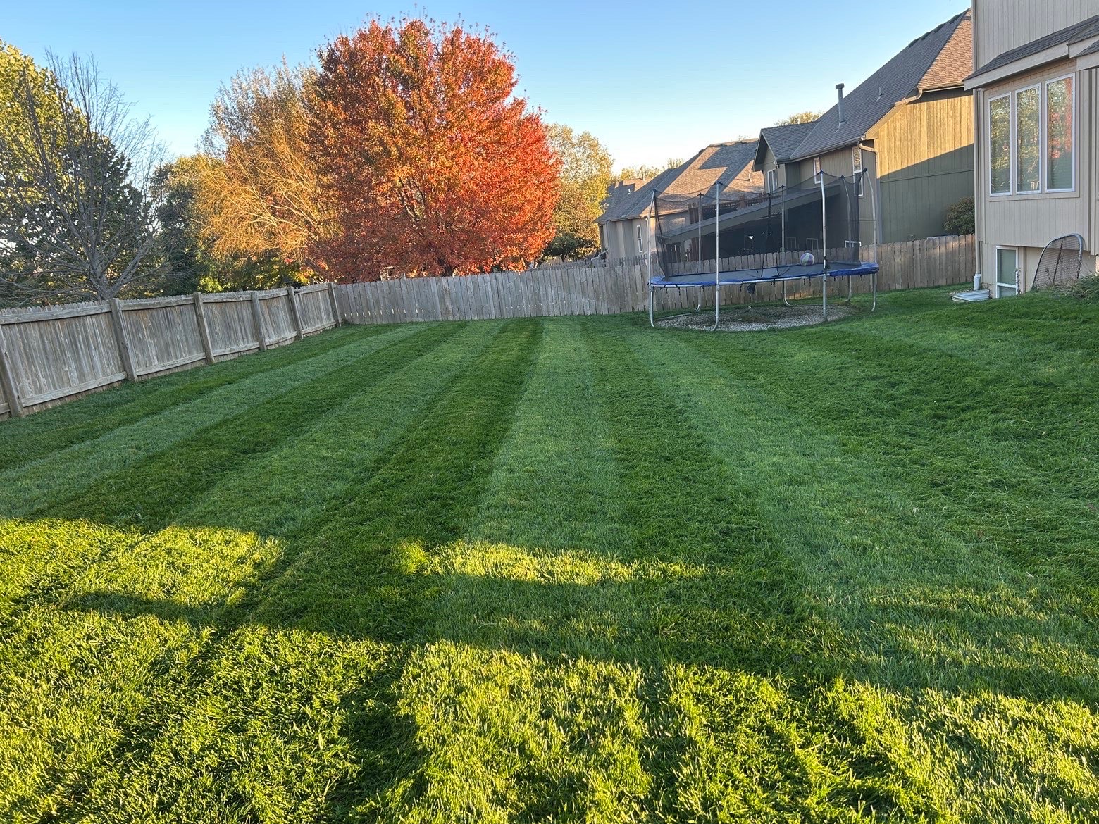 Freshly mowed lawn, photo 1