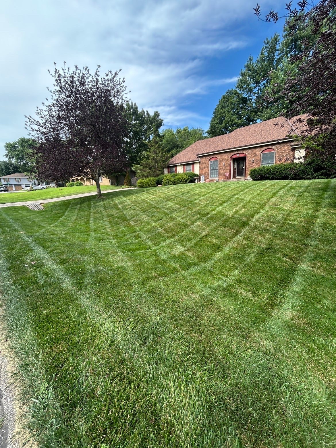 Freshly mowed lawn, photo 2