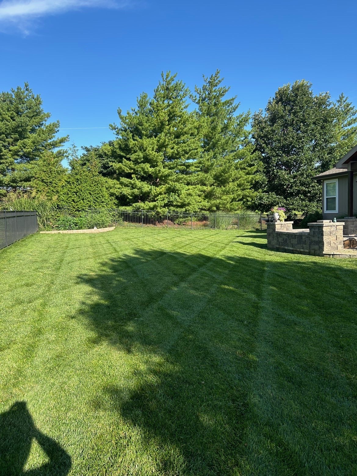 Freshly mowed lawn, photo 3