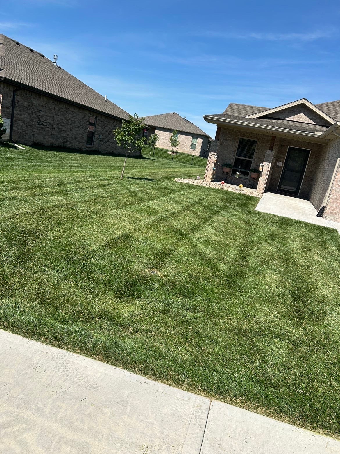 Freshly mowed lawn, photo 4