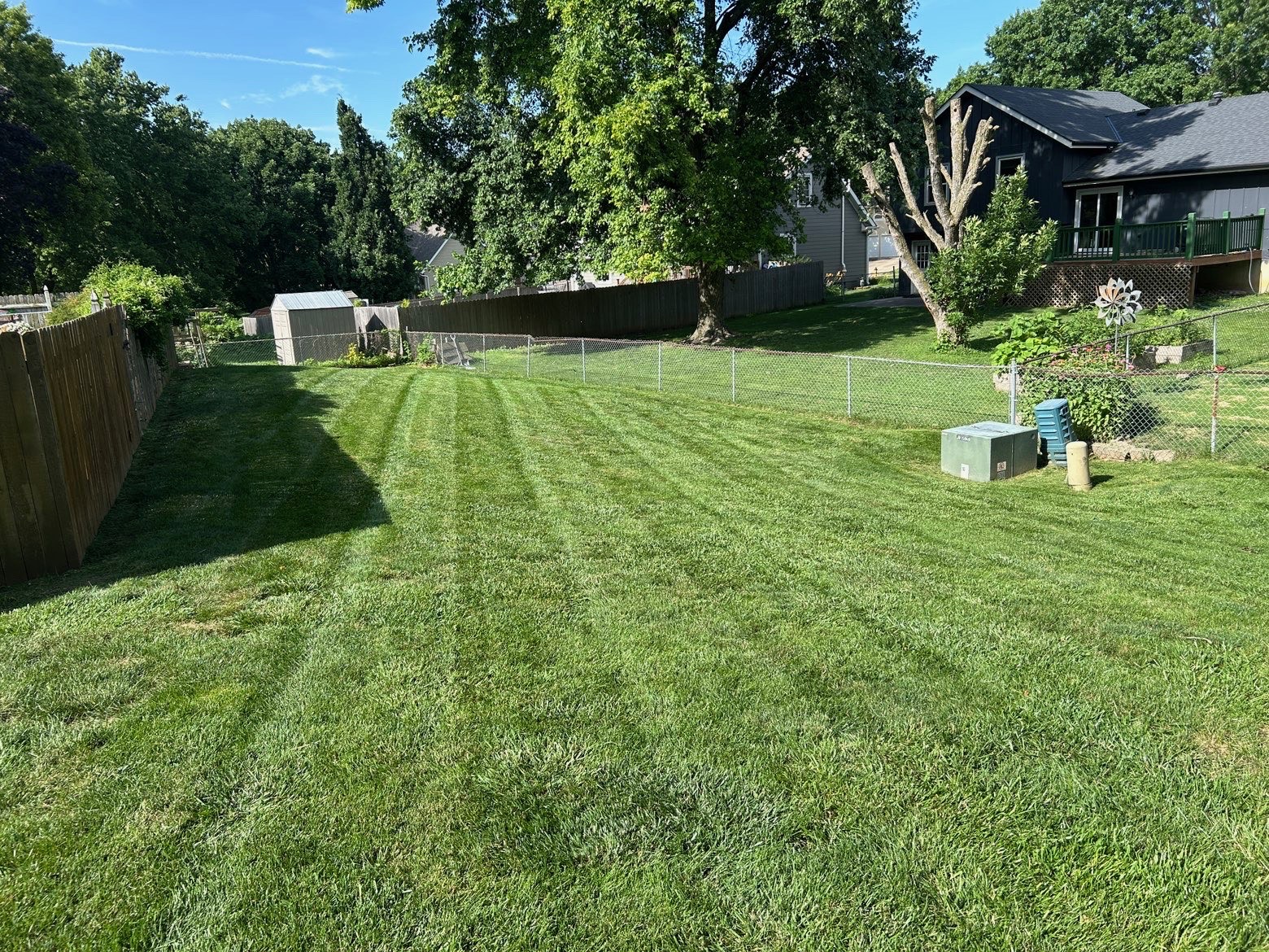 Freshly mowed lawn, photo 6