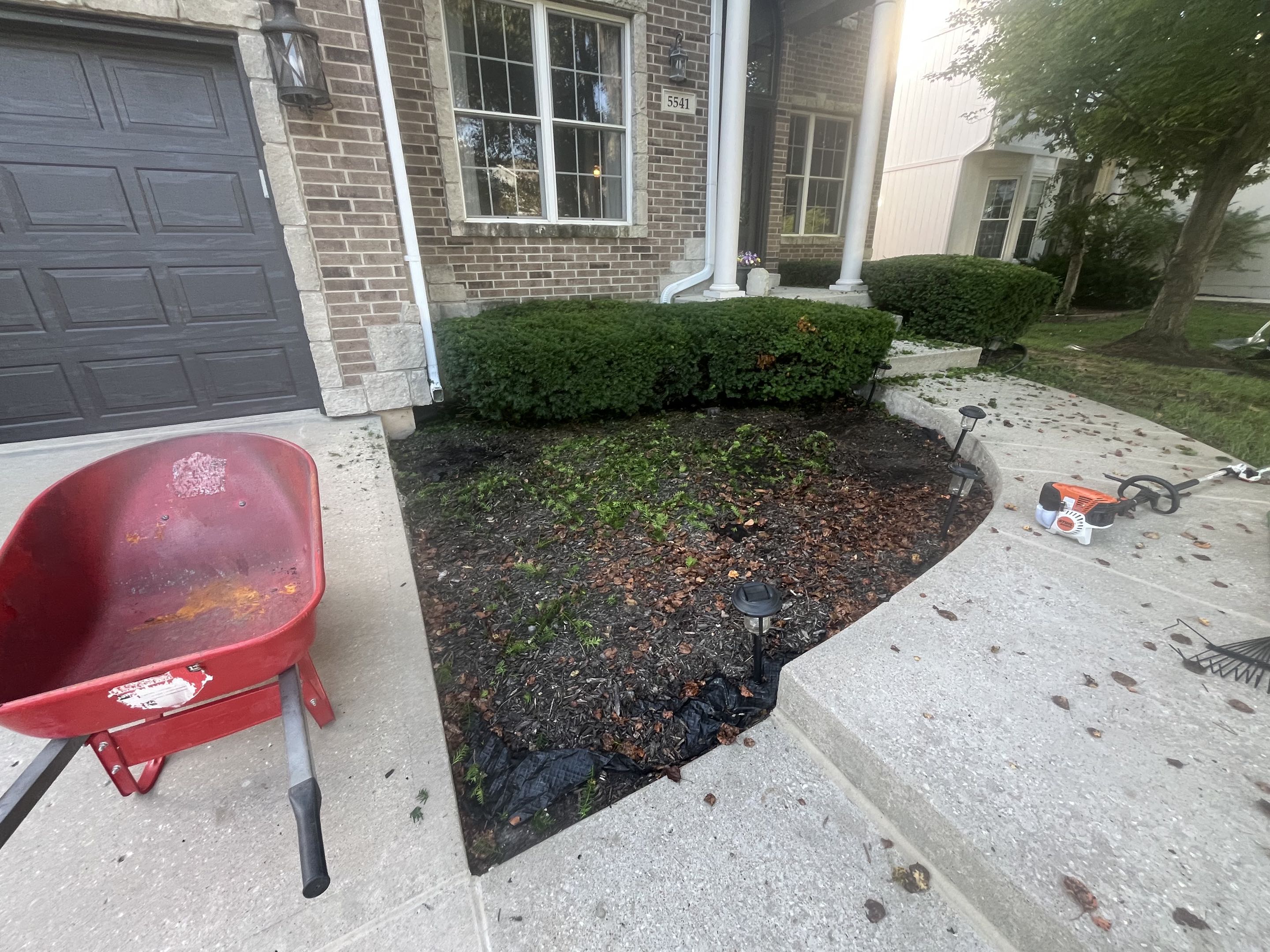 Before mulch, photo 1