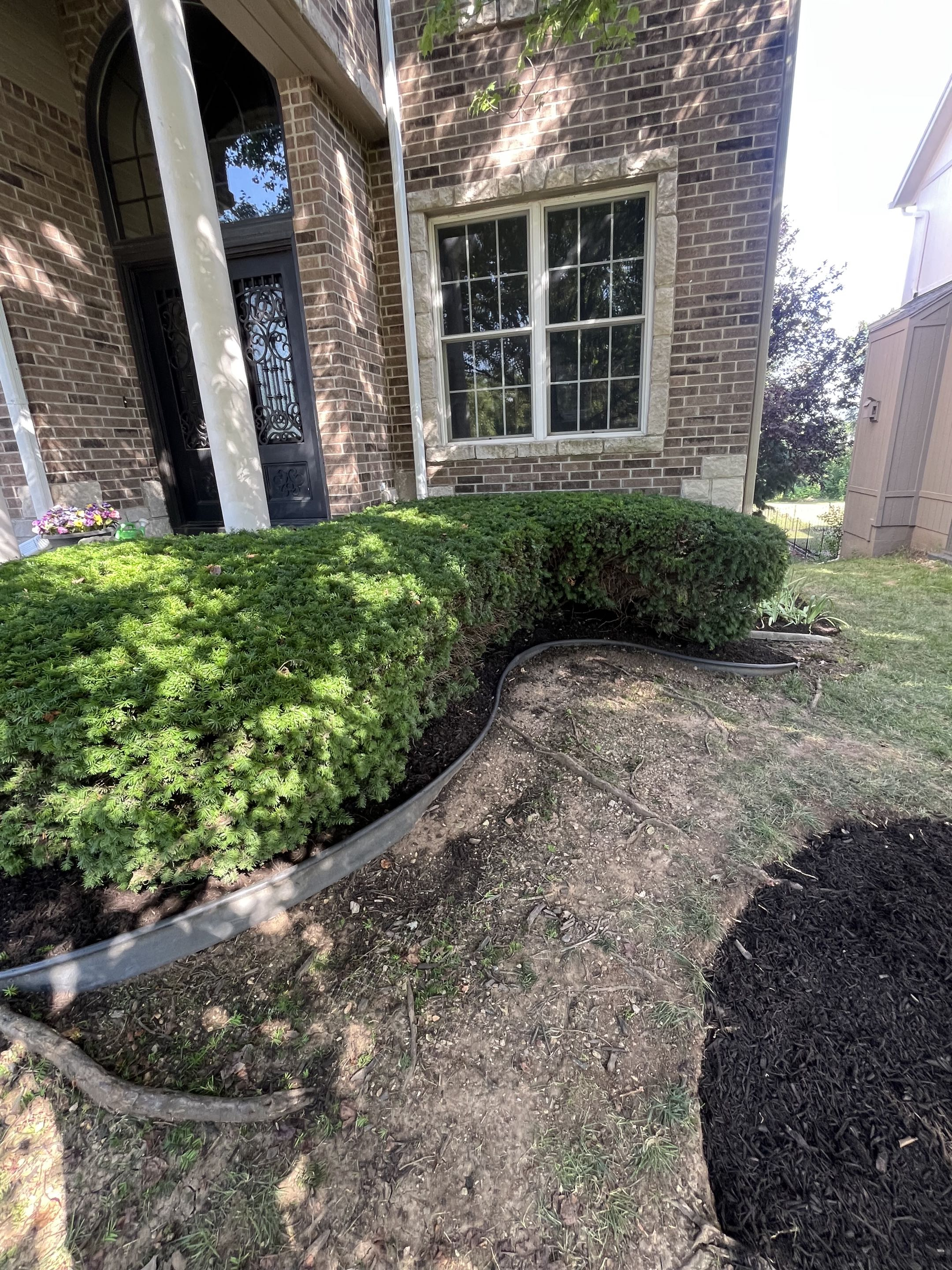 After mulch, photo 4