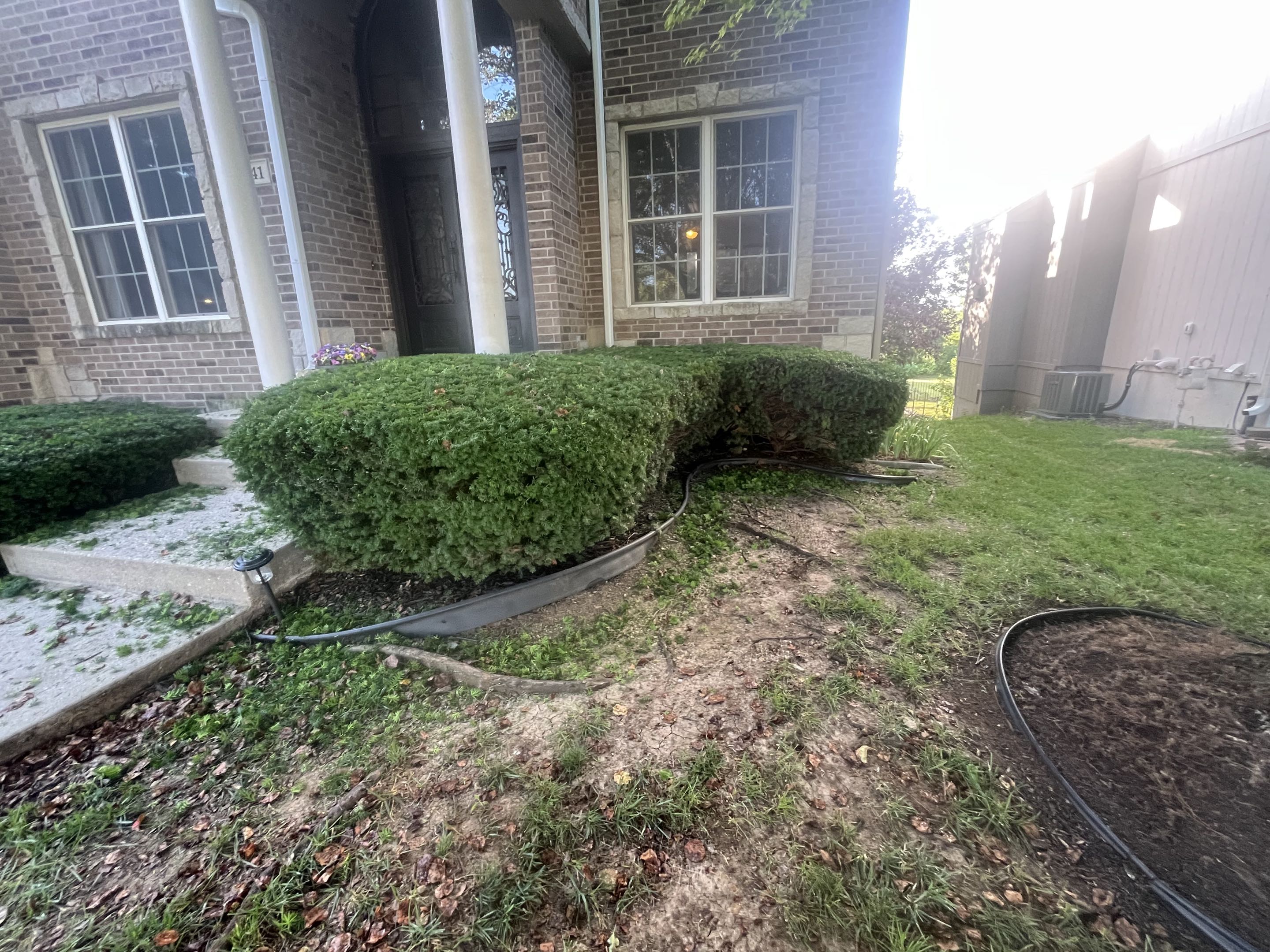 Before mulch, photo 3