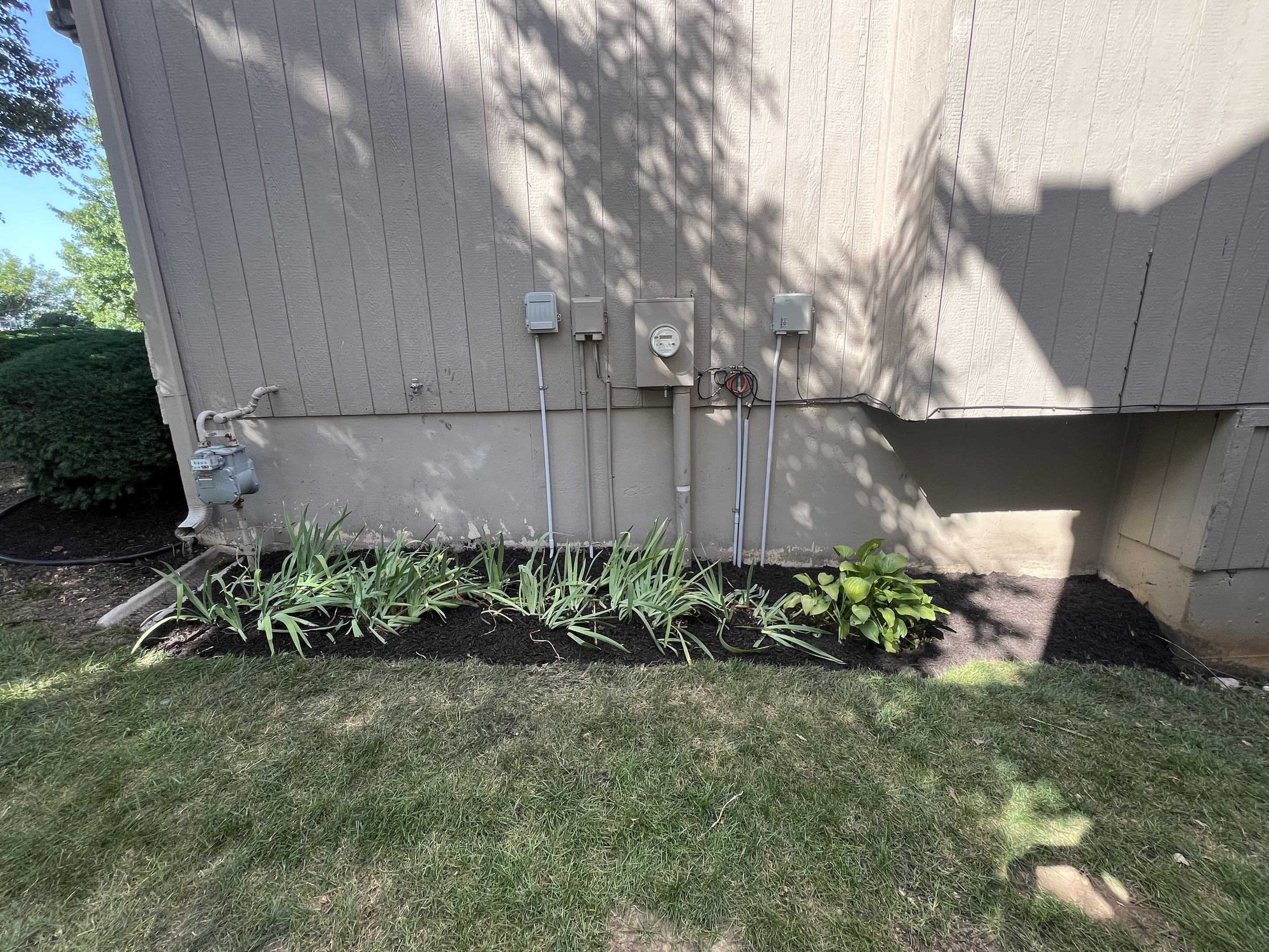 After mulch, photo 8
