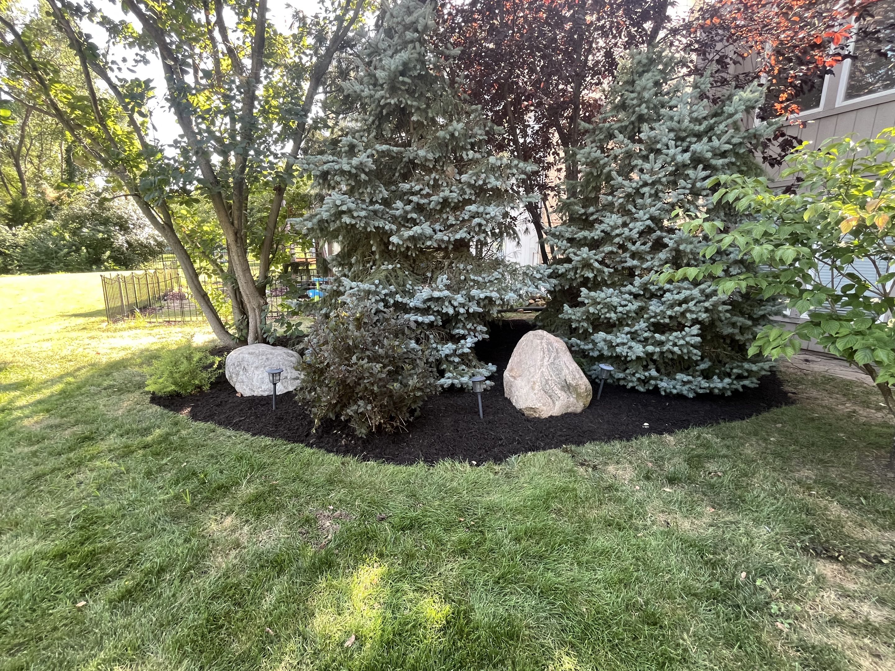 After mulch, photo 10